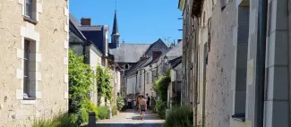 Rue du Chevalier Buhard, Béhuard_1