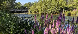 Circuit de randonnée : Entre Vigne et Charbon - Bords du Layon_1