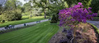 https://reservation.destination-angers.com/medias/images/prestataires/2921254-jardin_des_plantes_angers_346273.jpg_1