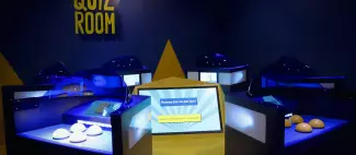 Quiz Room_1