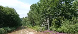 Circuit de randonnée : Vernantes - Variante_Vernantes - _1