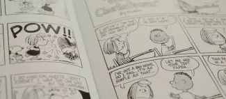 Festival de la bande dessinée_Montreuil-Bellay - _1