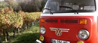 Saumur Champigny - _1