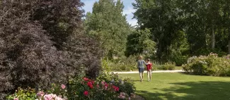 Roseraie Les Chemins de la Rose - _17