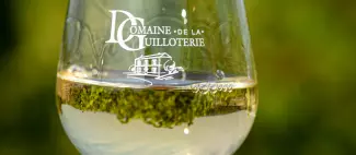 Domaine de la Guilloterie - _1