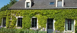 Façade rue Est 3.jpg - Gîte Lumières de Loire_1