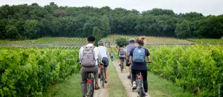 Vignes à vélo 2020 - _1