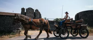 balade en caleche Yzernay 1.jpg_1
