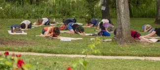 Séance de yoga dans la roseraie - _1