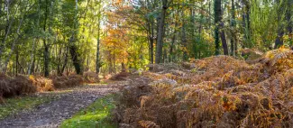 Circuit VTT de Vernantes - _1