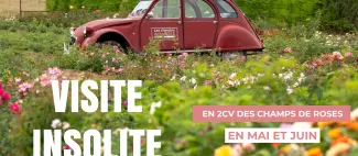 Visite en 2 CV - _1