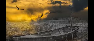 mon Anjou - _1