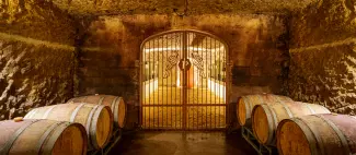 Un vigneron, un musicien : duo de solistes_Montsoreau - _1