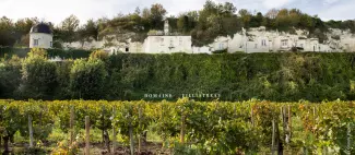 Vignobles en scène à la Grande Vignolle : atelier culinaire_Turquant - _1