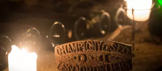 Vignobles en scène au Clos des Cordeliers - Chronique millésimée_Souzay-Champigny - _3