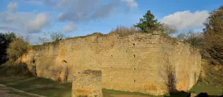 aula carolingienne de Doué-la-Fontaine - _1