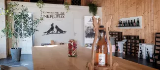 Vignobles en scène au Domaine de Nerleux - After Wine_Bellevigne-les-Châteaux - _1