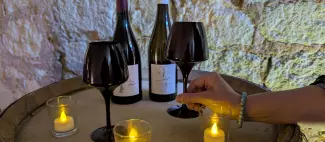 Vignobles en scène au Domaine de Rocheville : voyage en clair-obscur_Parnay - _1