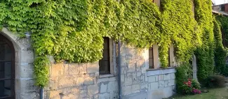 Gite Amis Chenin à Saumur - _1