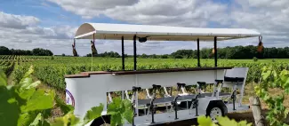 Vignobles en scène : vélo-bar dans les vignes... de Rocheville !_Parnay - _1