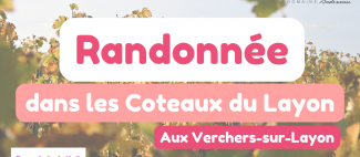 RANDONEE DANS LES VIGNES - _1