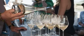 Dégustation vin - _1