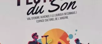 Festi'val du son
