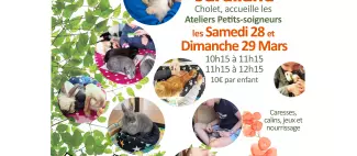 Atelier petits soigneurs _1