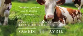 Chasse_aux_œufs-49-FMA-photo1