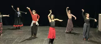 Stage de flamenco_1