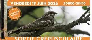 Affiche Carré - Sortie Crépusculaire