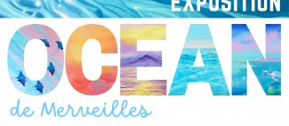 Océan_de_Merveilles -49-FMA-photo1