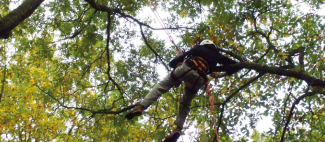 Les_Petites_Pépites_de_l'Automne-49-FMA-photo2