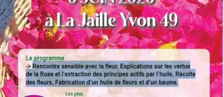 Capture d’écran 2026-03-06 145837