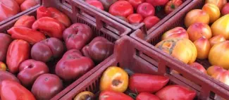 Champs%-Champigne-49-DEG-photo1