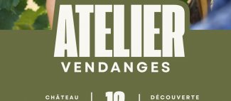 Copie de l'atelier vendange - 1