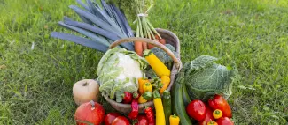 EARL Les Marolles © Jeanne Bonnet (7)