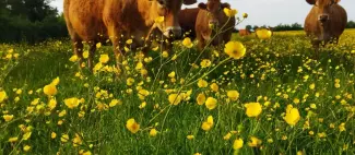 EI-Hugues-Lesmesles-La-Pouëze-49-photo5