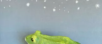 Grenouille