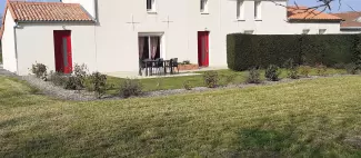 Camomille_1