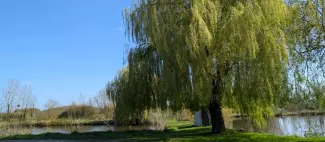 Le Haut Pressoir_1