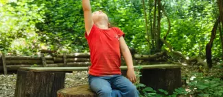 Forêt