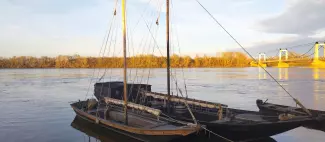 balade-thématique-sur-la-loire-montjean-sur-loire-mauges-sur-loire