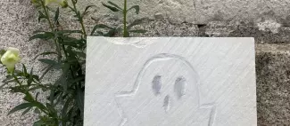 Animation