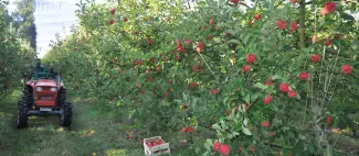 Jardin-des-Hespérides-vergers-OA-Bouzillé