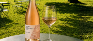 Vignoble en scène - Chateau de Fesles