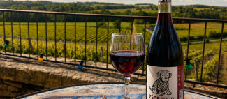L'instant au Château d'Avrillé