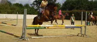 ferme-equestre-le-refuge-pouancé-49-loi