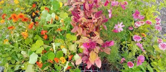 La-ferme-des-myrtilles-Saint-Augustin-des-Bois-49-DEG-photo1