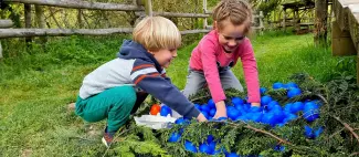 Natural-Parc-chasse-aux-oeufs